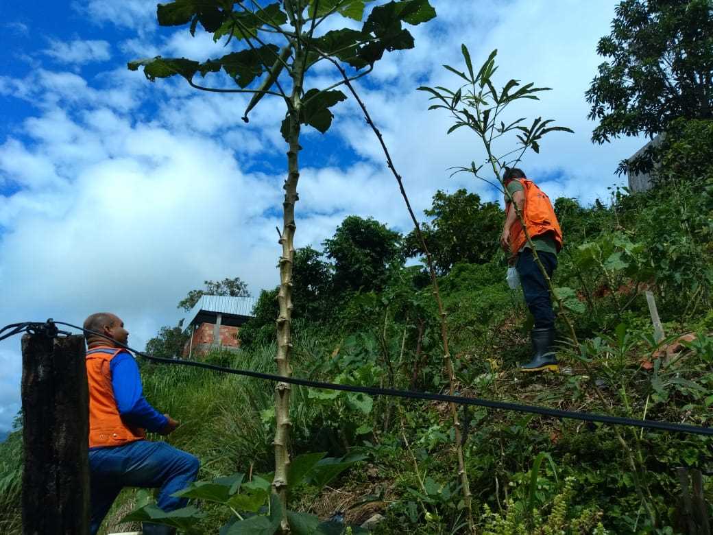 Camacã: Prefeitura mobiliza equipes após fortes chuvas que caíram na cidade